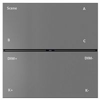 Панель-регулятора ЦТ роторная накладная Denkirs AIR CONTROL BT DK7201-DG в Нижнем Новгороде