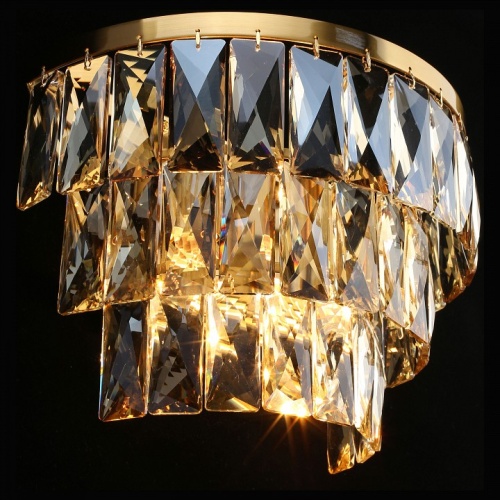 Накладной светильник Aployt Francheska APL.837.01.02 в Нижнем Новгороде фото 2