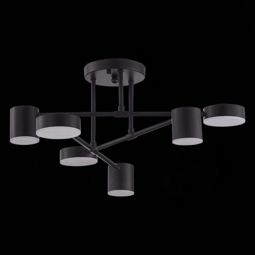 Потолочная люстра EVOLUCE Nobel SLE201042-06 в Нижнем Новгороде фото 3