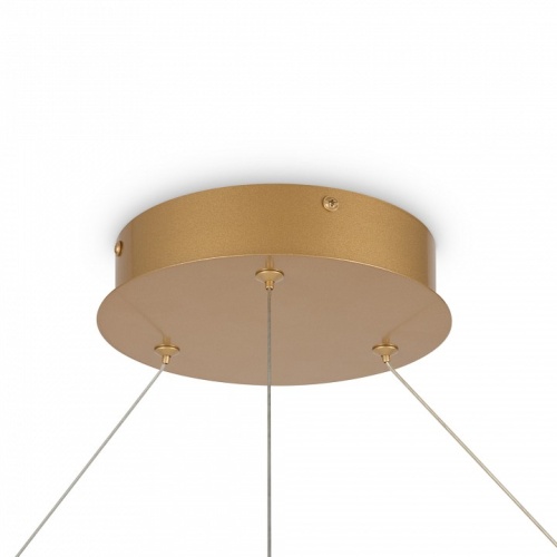 Подвесной светильник Maytoni Rim MOD058PL-L65BSK в Нижнем Новгороде фото 4