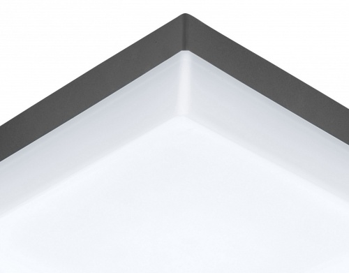 Накладной светильник Eglo Sonella 94872 в Нижнем Новгороде фото 2