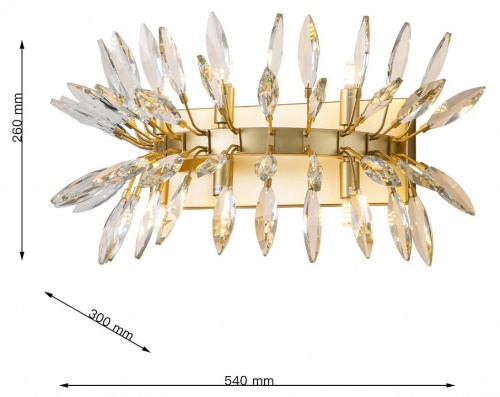 Накладной светильник Favourite Rays 4058-6W в Нижнем Новгороде фото 6