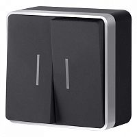 Выключатель двухклавишный с подсветкой Werkel Gallant (черный с серебром) W5020134 в Нижнем Новгороде