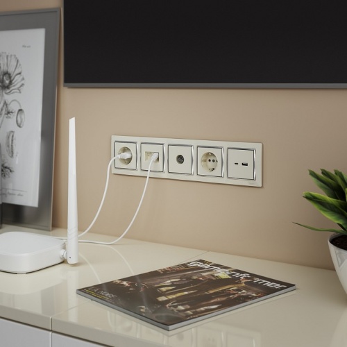 Розетка с заземлением, без рамки Werkel слоновая кость W1171003 в Нижнем Новгороде фото 4