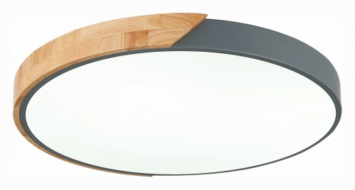 Накладной светильник EVOLUCE Festa SLE200972-01 в Нижнем Новгороде фото 2