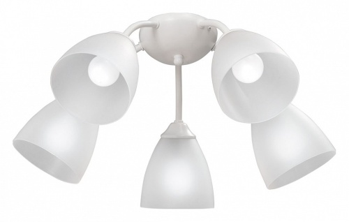 Потолочная люстра Vitaluce V3737 V3737-0/5PL в Нижнем Новгороде