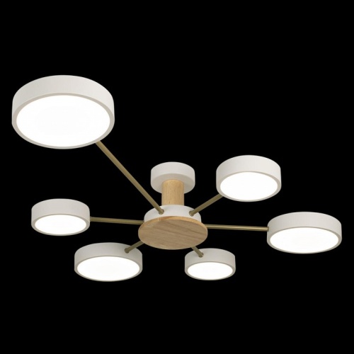 Потолочная люстра Loft it Sunrise 10316/6 White в Нижнем Новгороде фото 3