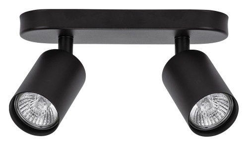 Спот Arte Lamp Aquarius A3226PL-2BK в Нижнем Новгороде