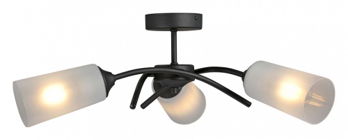 Люстра на штанге Vitaluce V2850 V2850-1/3PL в Нижнем Новгороде фото 2