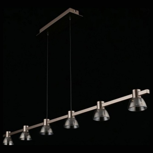 Подвесной светильник Aployt Rezeda APL.788.03.06 в Нижнем Новгороде фото 8