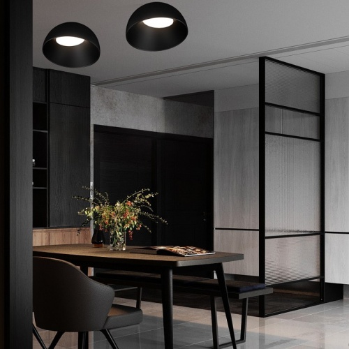 Накладной светильник Loft it Egg 10197/350 BB в Нижнем Новгороде фото 6