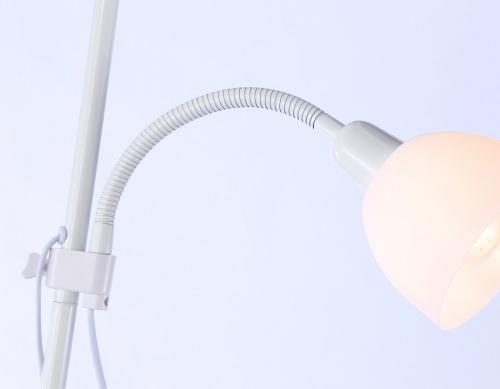 Торшер с подсветкой Ambrella Light TR TR97622 в Нижнем Новгороде фото 4