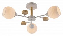 Люстра на штанге Rivoli Chiara Б0068427 в Нижнем Новгороде