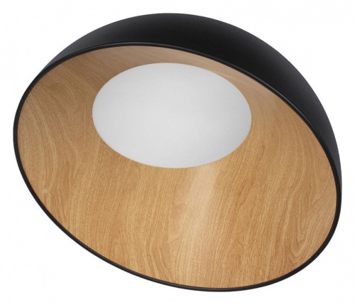 Накладной светильник Loft it Egg 10197/500 Black в Сельцо фото 2