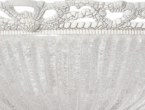 Накладной светильник Arti Lampadari Vigilanza Vigilanza E 1.13.38 BW в Нижнем Новгороде фото 7