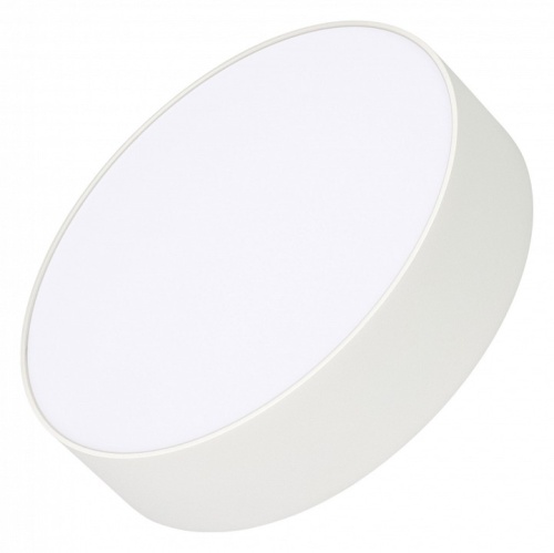 Накладной светильник Arlight RONDO 022231(2) в Нижнем Новгороде