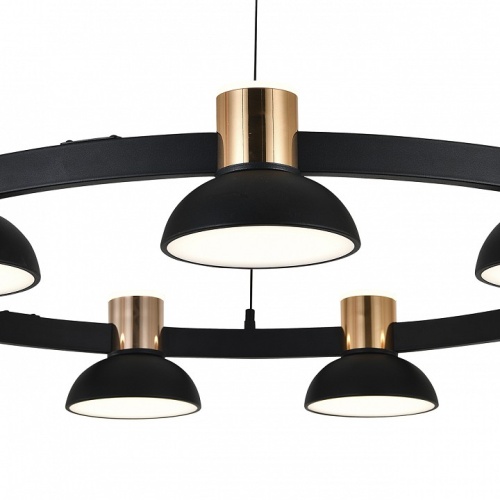 Подвесная люстра Indigo Traforo 11059/9P Black в Нижнем Новгороде фото 2