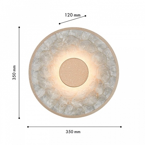 Накладной светильник Favourite Solarius 4858-1W в Нижнем Новгороде фото 2