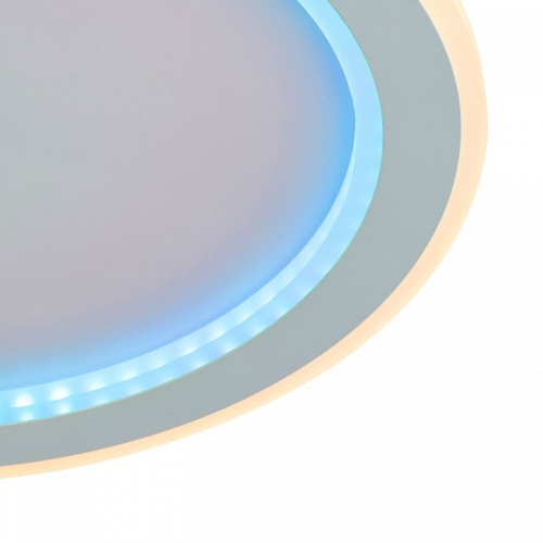 Накладной светильник F-promo Lema 4697-4C в Нижнем Новгороде фото 2