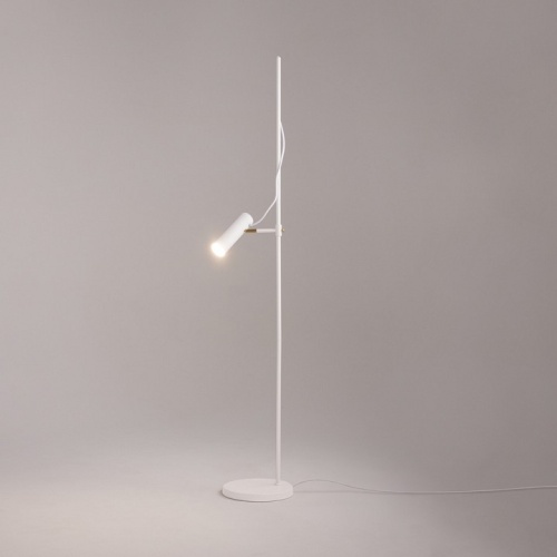 Торшер Maytoni Bansky MOD129FL-01W в Нижнем Новгороде фото 6