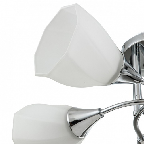 Потолочная люстра Escada Camellia 664/5P в Нижнем Новгороде фото 3