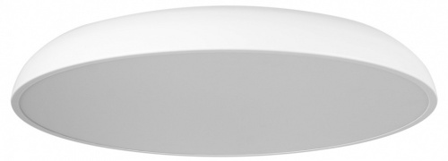 Накладной светильник Loft it Dime 10371 White в Нижнем Новгороде фото 7