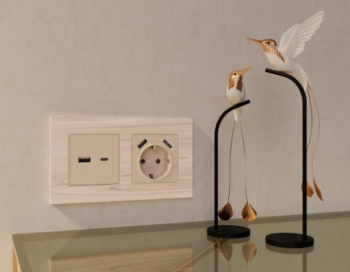 Накладка для розетки type A и C Ambrella Volt ALFA AP3310 в Нижнем Новгороде фото 2