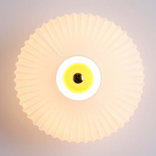 Накладной светильник Lussole  LSP-5050 в Нижнем Новгороде фото 2