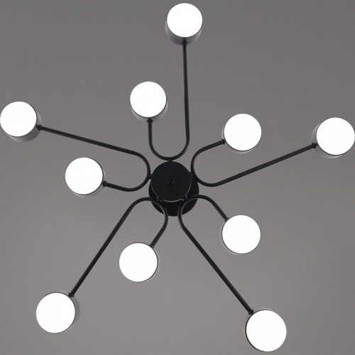 Люстра на штанге 03708 03708-0.3-10 BK GX53 в Нижнем Новгороде фото 4