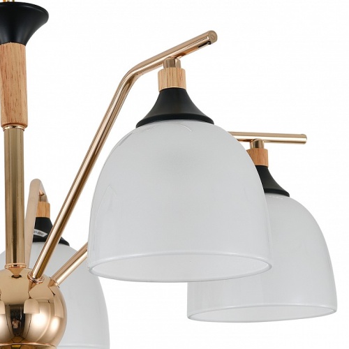 Подвесная люстра Escada Actinidia 2123/5P в Нижнем Новгороде фото 2