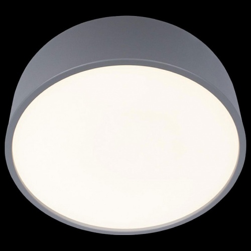 Накладной светильник Loft it Axel 10201/350 Grey в Нижнем Новгороде фото 2