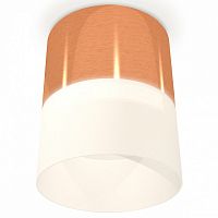 Накладной светильник Ambrella Light XS XS8122011 в Нижнем Новгороде