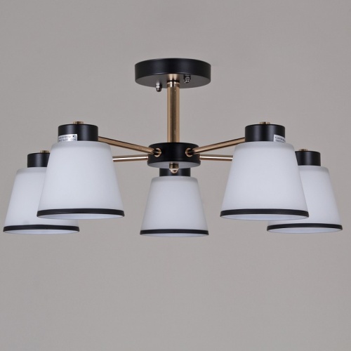 Люстра на штанге  30560-0.3-05 BK+FG в Нижнем Новгороде фото 3