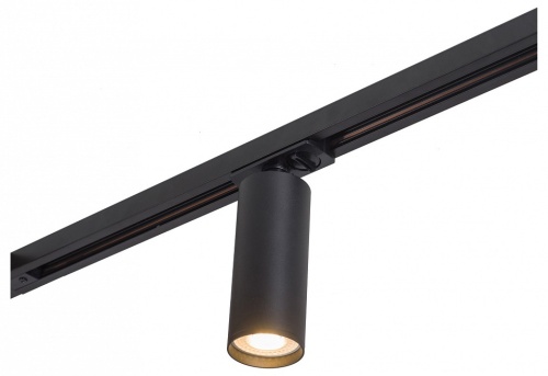 Светильник на штанге Denkirs DK620 DK6202-BK в Нижнем Новгороде фото 10