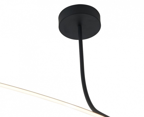 Светильник на штанге Italline IT013-6025 IT013-6025 black 3000K в Нижнем Новгороде фото 3