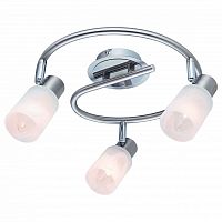 Спот Arte Lamp Cavalletta A4510PL-3SS в Белово