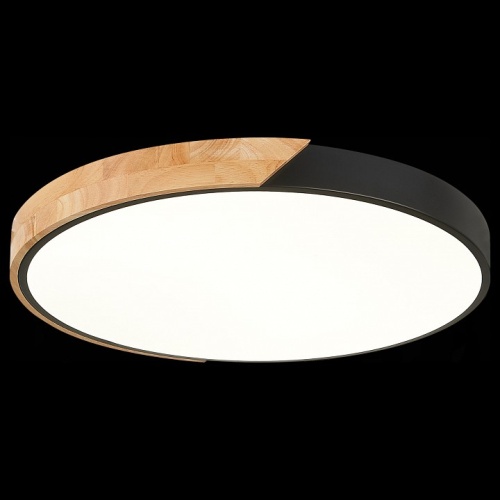 Накладной светильник EVOLUCE Festa SLE200942-01 в Нижнем Новгороде фото 7