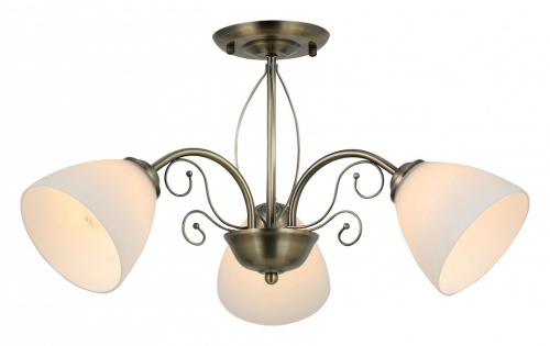 Люстра на штанге Rivoli Sue Б0060985 в Нижнем Новгороде фото 2