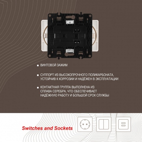 Розетка двойная с заземлением, без рамки Arte Milano am-217 217.40-2.white в Нижнем Новгороде фото 2