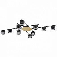 Потолочная люстра Lumion BENUA 8304/10C в Нижнем Новгороде