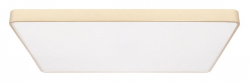 Накладной светильник Loft it Flims 10228/E в Нижнем Новгороде фото 8