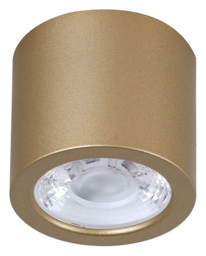 Накладной светильник Favourite Deorsum 2807-1C в Звенигороде