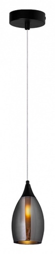 Подвесной светильник Arte Lamp Barry A7951SP-1BK в Йошкар-Оле фото 2