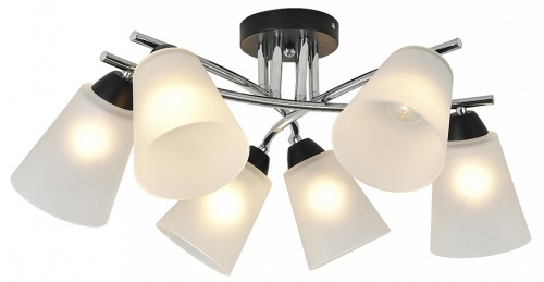 Потолочная люстра Escada Lavatera 2132/6P в Нижнем Новгороде фото 4