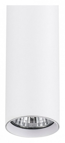 Подвесной светильник Escada 20001 20001TRP/01 SWH в Нижнем Новгороде фото 3