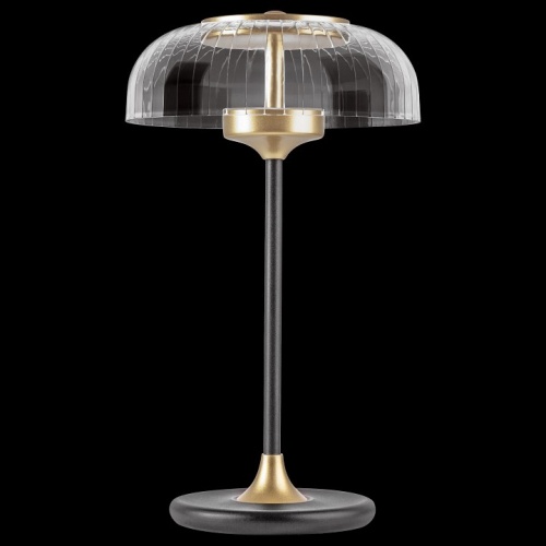 Настольная лампа декоративная Lightstar Acrile 738973 в Нижнем Новгороде фото 5