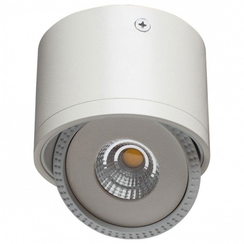 Накладной светильник Arte Lamp Studio A4105PL-1WH в Нижнем Новгороде