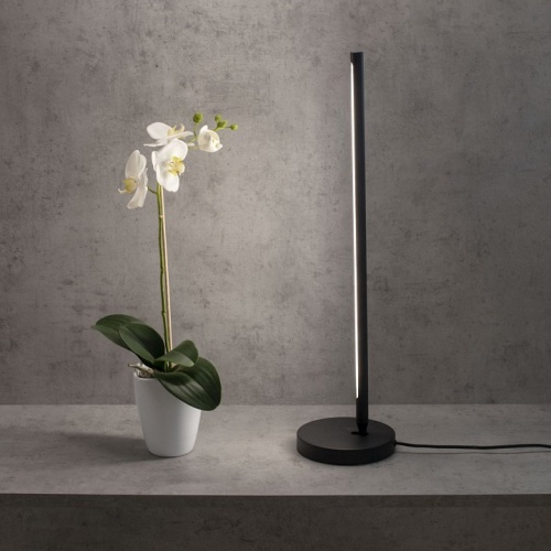 Настольная лампа декоративная Mantra Torch 6738 в Нижнем Новгороде фото 5