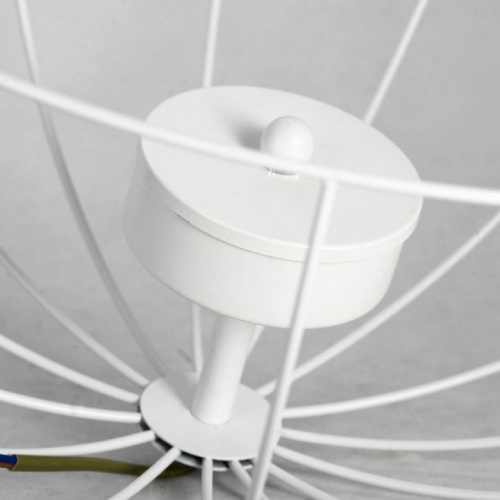 Потолочная люстра Lussole Lattice 1 GRLSP-8218 в Нижнем Новгороде фото 3