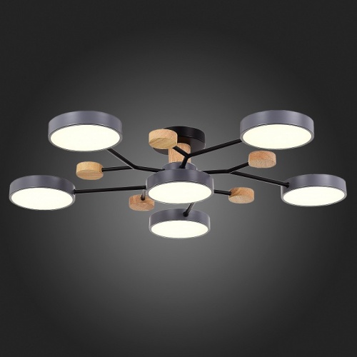 Потолочная люстра EVOLUCE Faema SLE6006-702-06 в Нижнем Новгороде фото 4